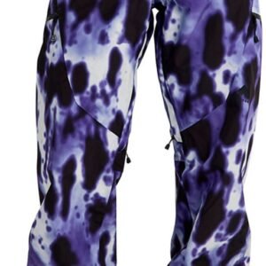 Burton Reserve Gore-tex® 2l Broek Paars S Vrouw