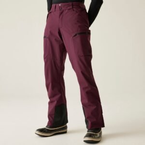 Dare2b Baseplate Ii Broek Paars XL / Regular Man