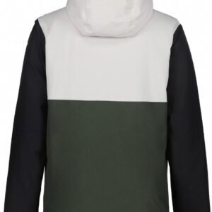ICEPEAK - chester - Ski jack heren - Groen