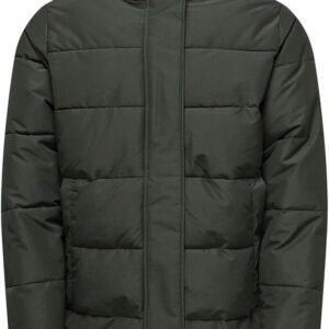 Lange Gewatteerde Jas - Winterjas Heren - Bescherming Tegen Kou - Afneembare Capuchon - Dienbladen Lengte - Blauw