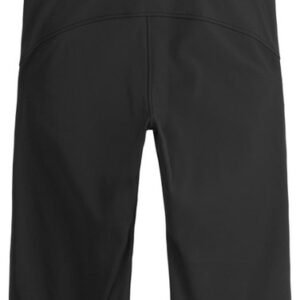 PICTURE Eyeri Bib pants black