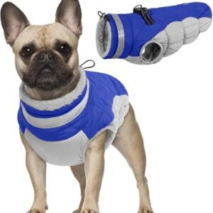 Warm Winterjack voor Honden, Waterdichte Bovenkleding, Winddicht en Reflecterend, Ideaal voor Koude Weer, Geschikt voor Kleine Honden, Comfortabel en Praktisch voor Buitenactiviteiten