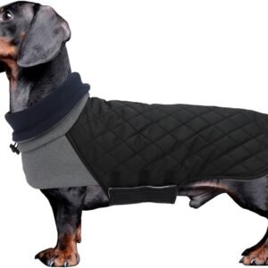 Warm en Waterdicht Winterjack voor Teckels, Winddicht Hoog Nekjack met Touwgaten voor Kleine Honden - Zwart