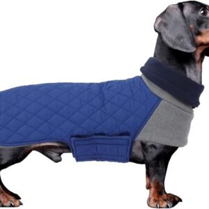 Warm en Waterdicht Winterjacket voor Teckels, Beschermende Bovenkleding voor Kleine Honden, Hoogsluitend Met Koordgaten - XL Maat