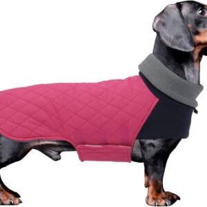 Warm en Waterdicht Winterjacket voor Teckels, Winddichte Dierenjas met Hoge Hals, Ideaal voor Kleine Honden - Roze - M