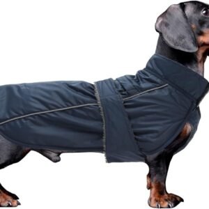 Waterdichte hondenjacket voor teckels en puppy's, winterjas met gevoerde fleece, verstelbare banden en buikbescherming - Navy Blauw - S