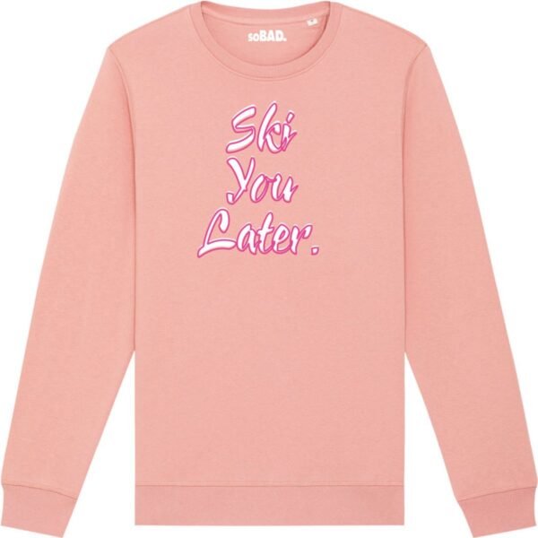 Wintersport sweater canyon pink XL - Ski you later - soBAD. | Foute apres ski outfit | kleding | verkleedkleren | wintersporttruien | wintersport dames en heren